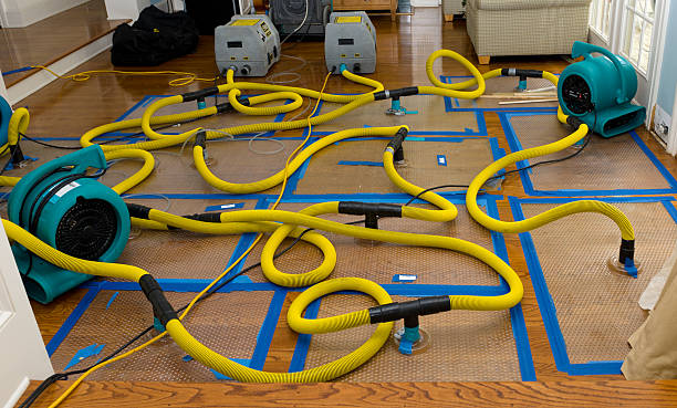 Professional Basement Flood Cleanup technician working in Kapaau, HI